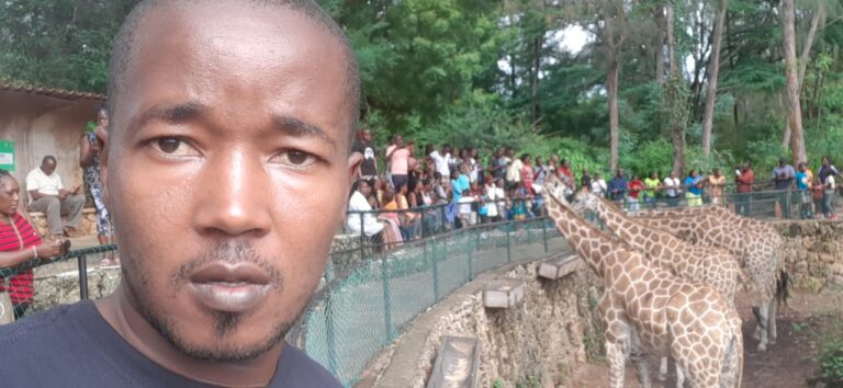 Park Tours