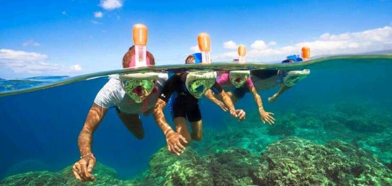 Diving Tours